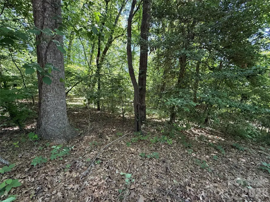 4446 Marion Drive, Terrell, NC 28682 - #3