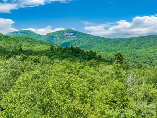 2 Cardinal Drive W #TRP 2, Lake Toxaway, NC 28747
