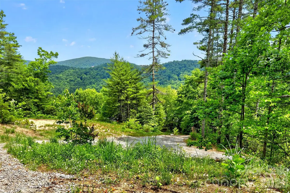 259 East Lester Lane, Hendersonville, NC 28739 - #1