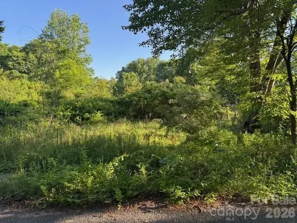 202 Dundee Street, Hendersonville, NC 28791
