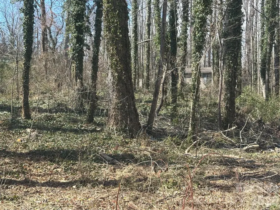 99999 Caribou Road, Asheville, NC 28803 - #2
