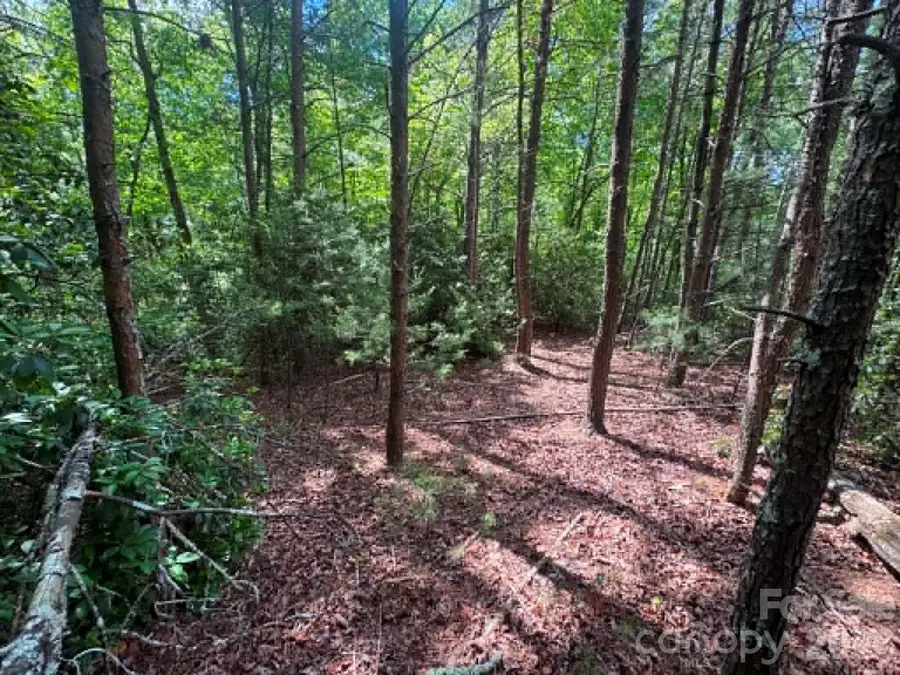 Lot 19 Fawn Lane, Walnut Grove, NC 28635 - #2