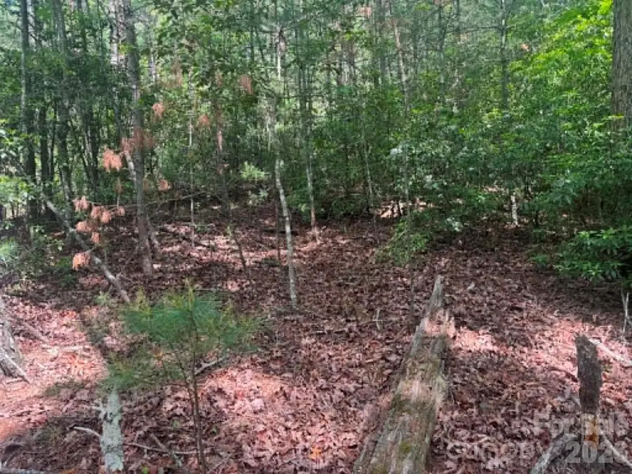 Lot 19 Fawn Lane, Walnut Grove, NC 28635 - #3