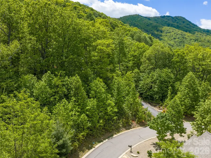 9 Crockett Ridge Road, Black Mountain, NC 28711 - #2