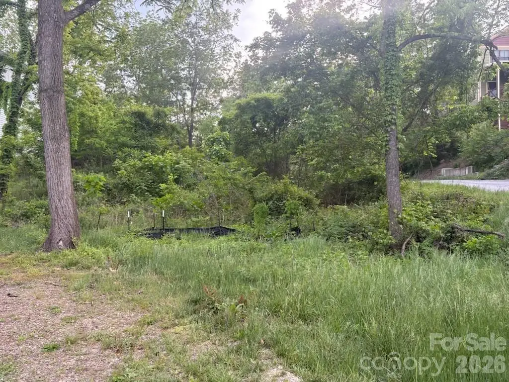 111 Waynesville Avenue, Asheville, NC 28806 - #1
