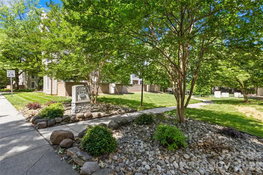 244 S Cedar Street #3, Charlotte, NC 28202 - #3