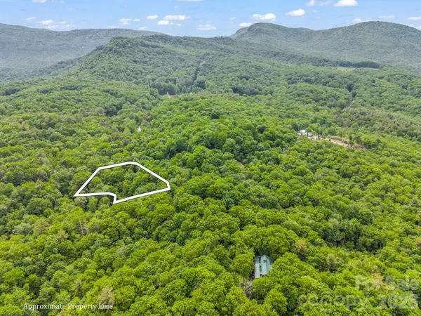 TBD Toxaway Trail #14/3, Lake Toxaway, NC 28747