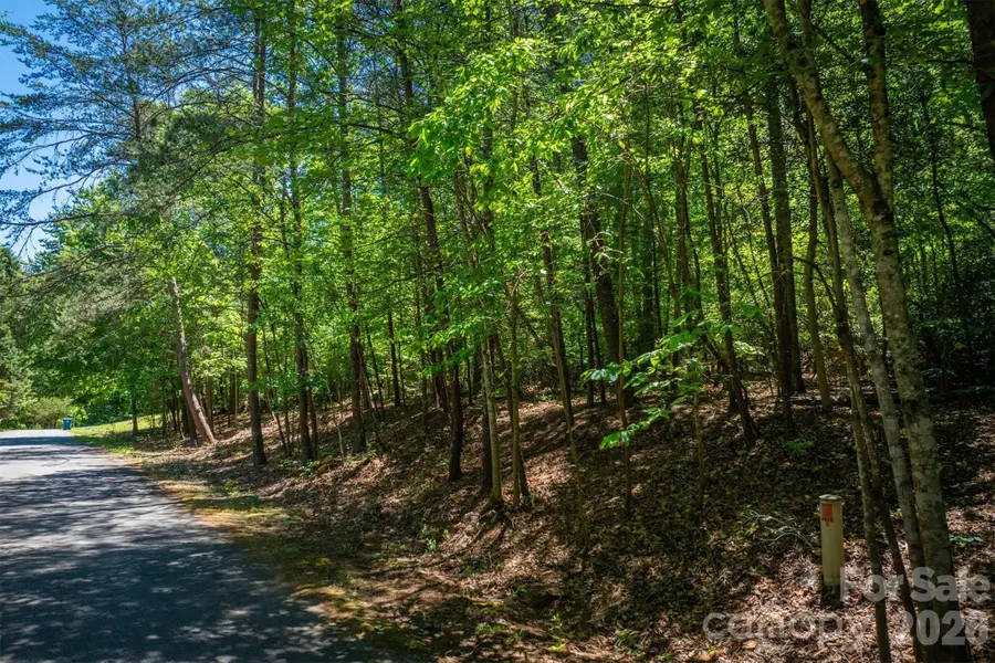 3835 Oak Drive, Valdese, NC 28690 - #3