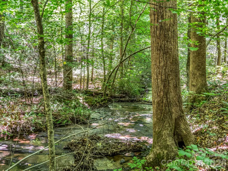 670 Cedar Creek Road, Lake Lure, NC 28746 - #3