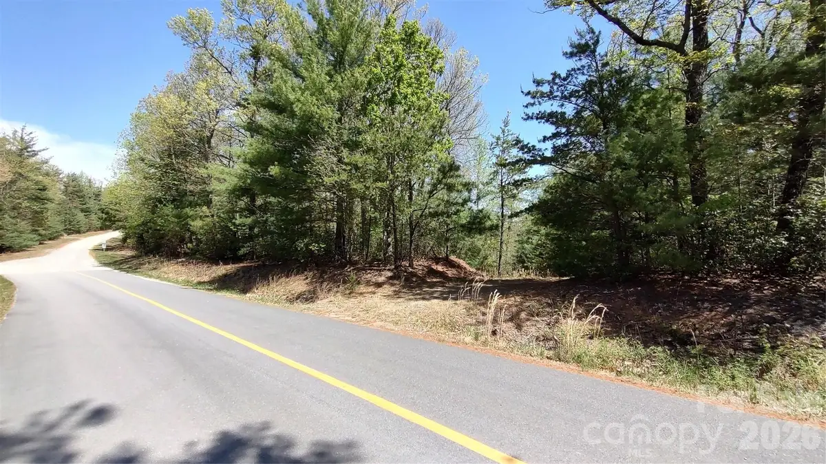 0 Staghorn Road, Purlear, NC 28665 - #1