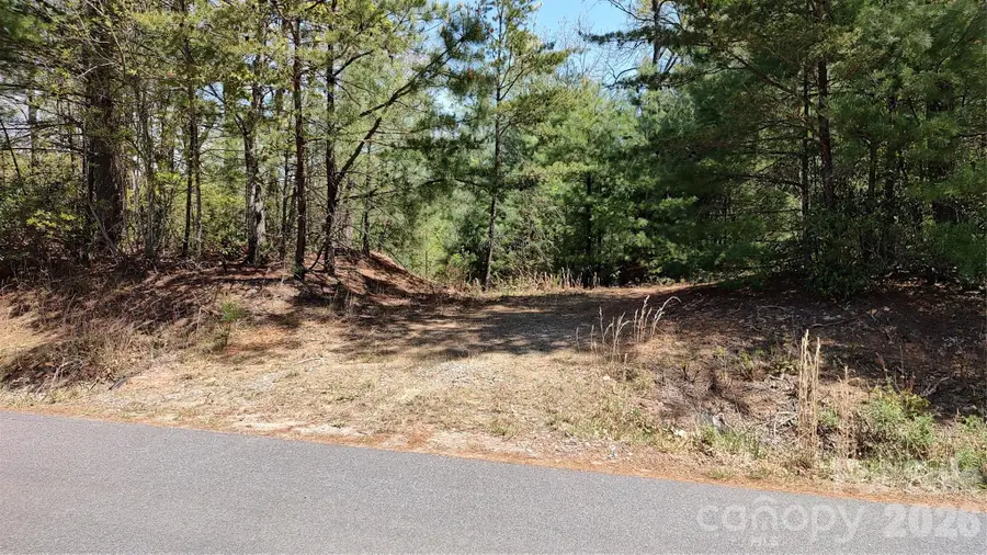 0 Staghorn Road, Purlear, NC 28665 - #3