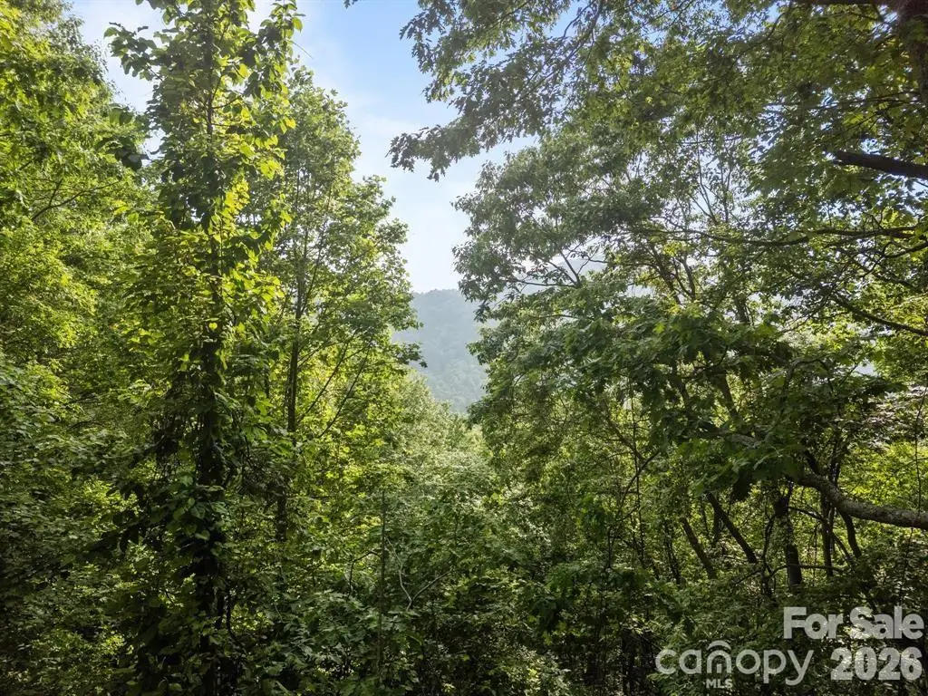 00 Granny Shepherd Road, Mars Hill, NC 28754 - #1