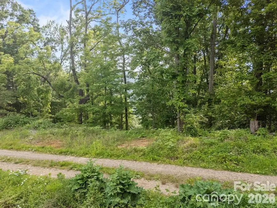 00 Granny Shepherd Road, Mars Hill, NC 28754 - #2