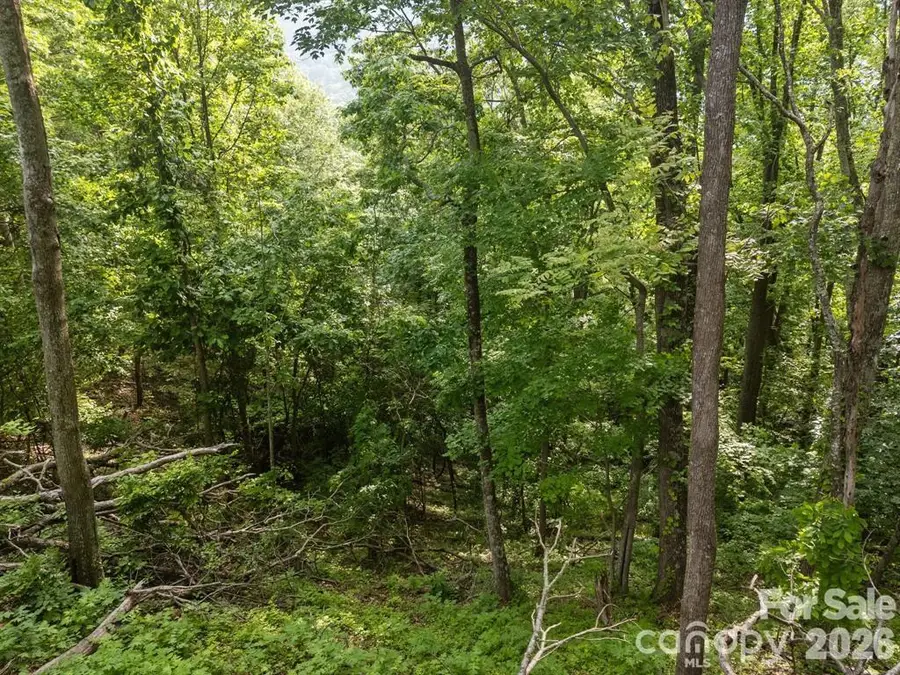 00 Granny Shepherd Road, Mars Hill, NC 28754 - #3