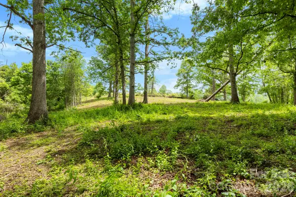 99999 Wild Goose Way #3R, Asheville, NC 28804