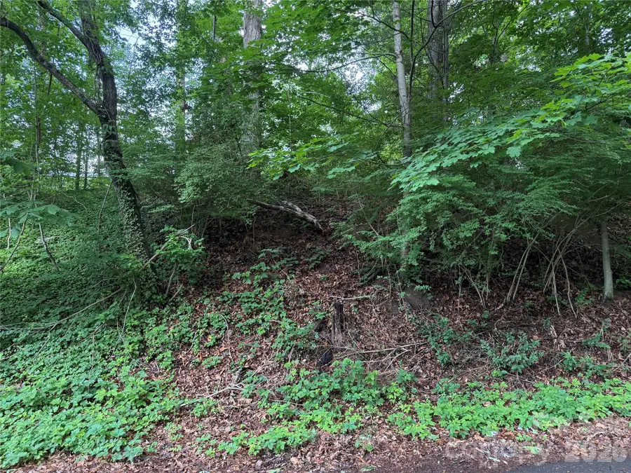 89 Iris Street, Asheville, NC 28803 - #2