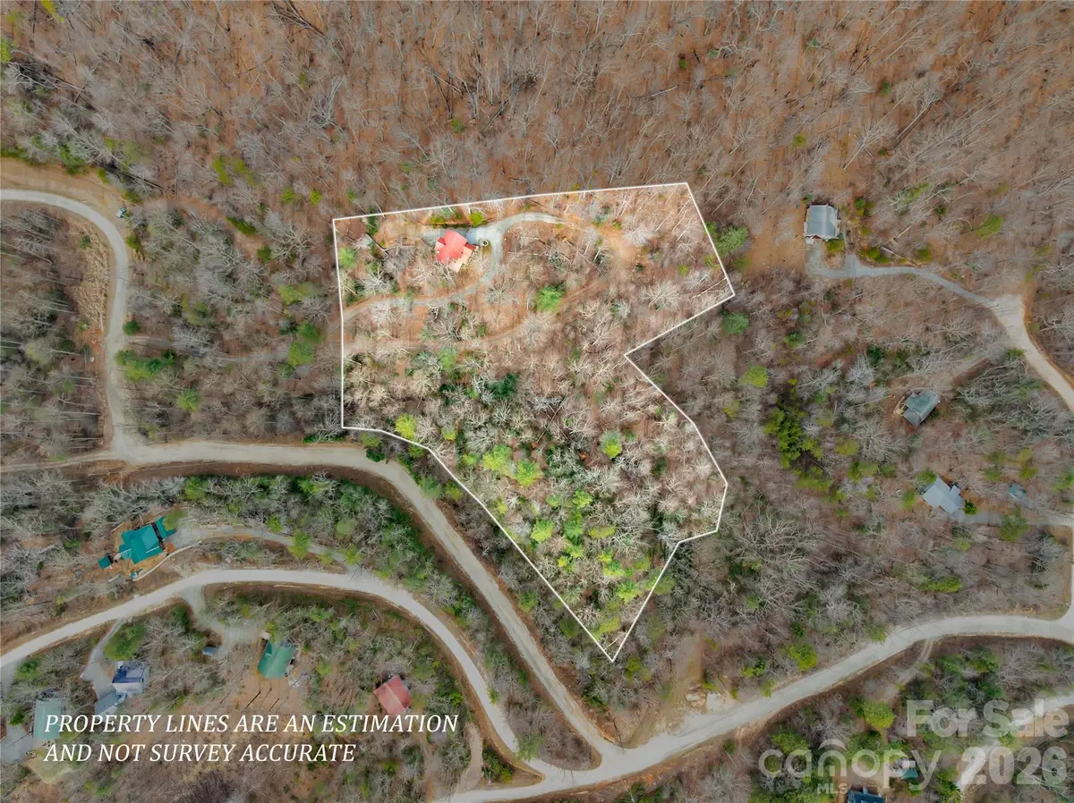 184 Deep Woods Lane, Saluda, NC 28773 - #1