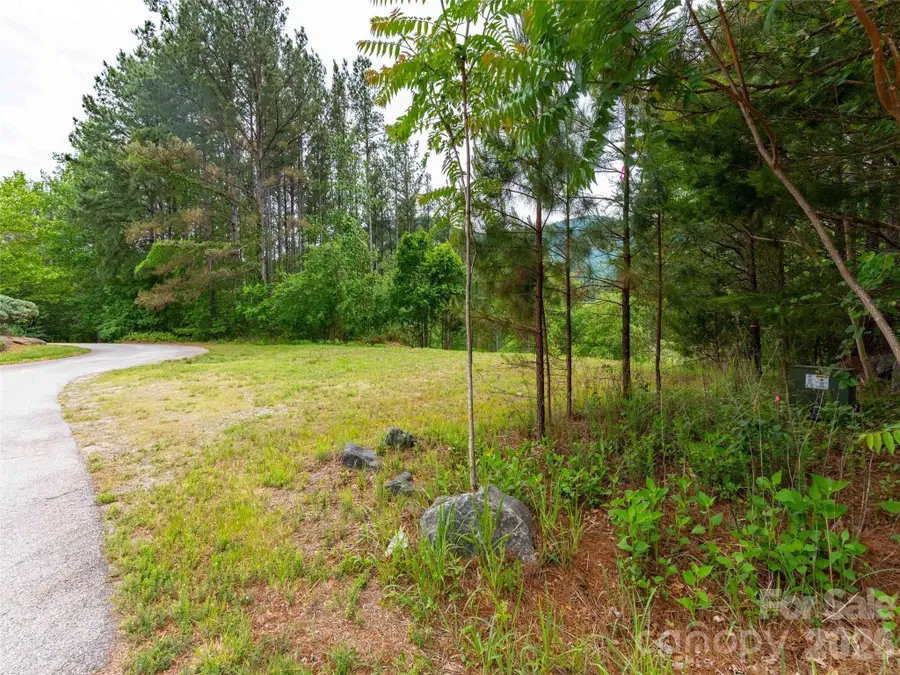 Lot 73 Chestertown Drive #73, Mill Spring, NC 28756 - #2