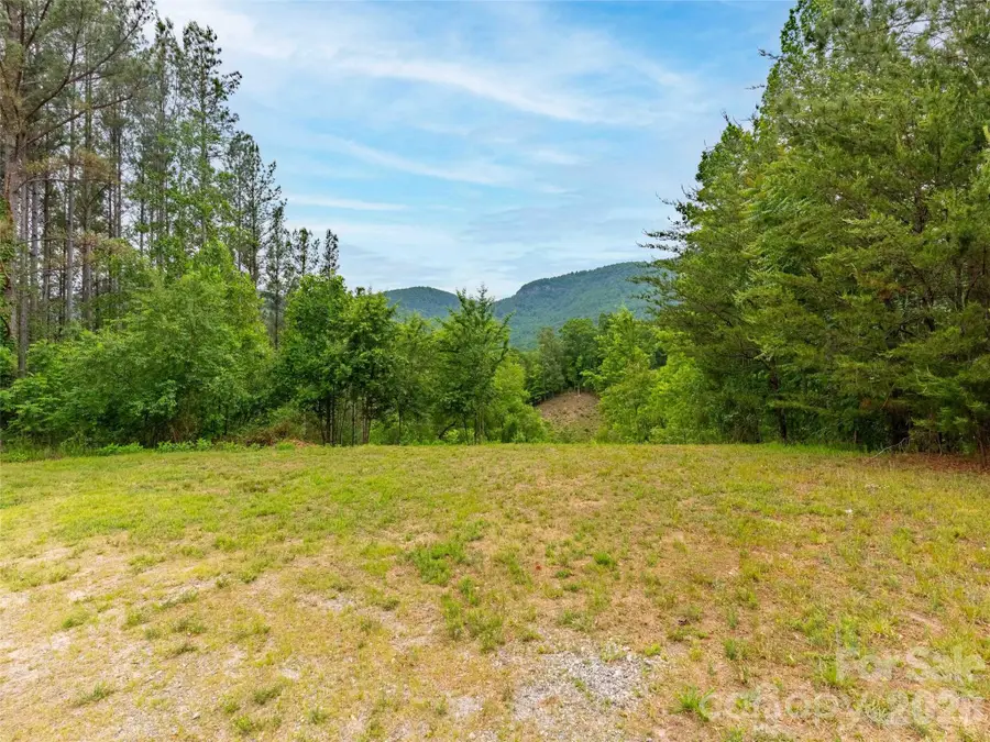 Lot 73 Chestertown Drive #73, Mill Spring, NC 28756 - #3