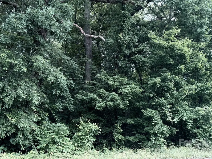 0 Buffalo Shoals Road, Statesville, NC 28677 - #2