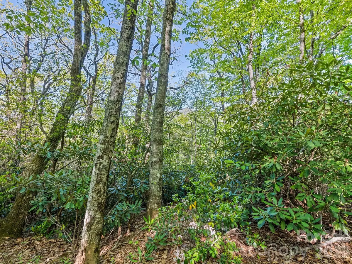 #19 Sleepy Hollow Lane, Waynesville, NC 28786 - #1