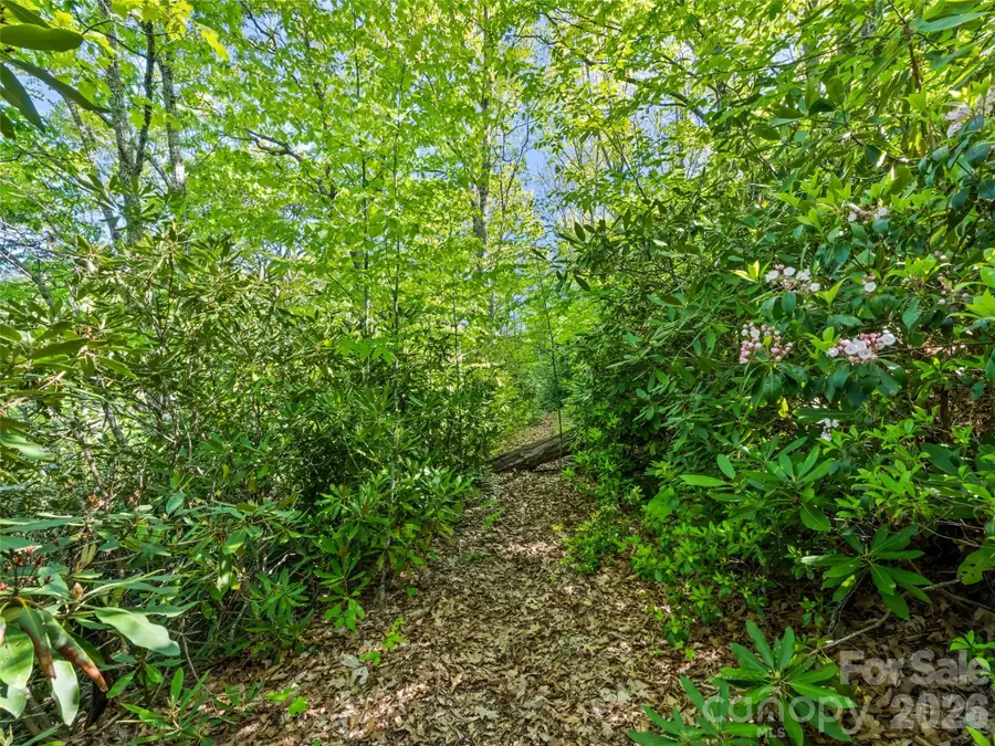 #19 Sleepy Hollow Lane, Waynesville, NC 28786 - #3