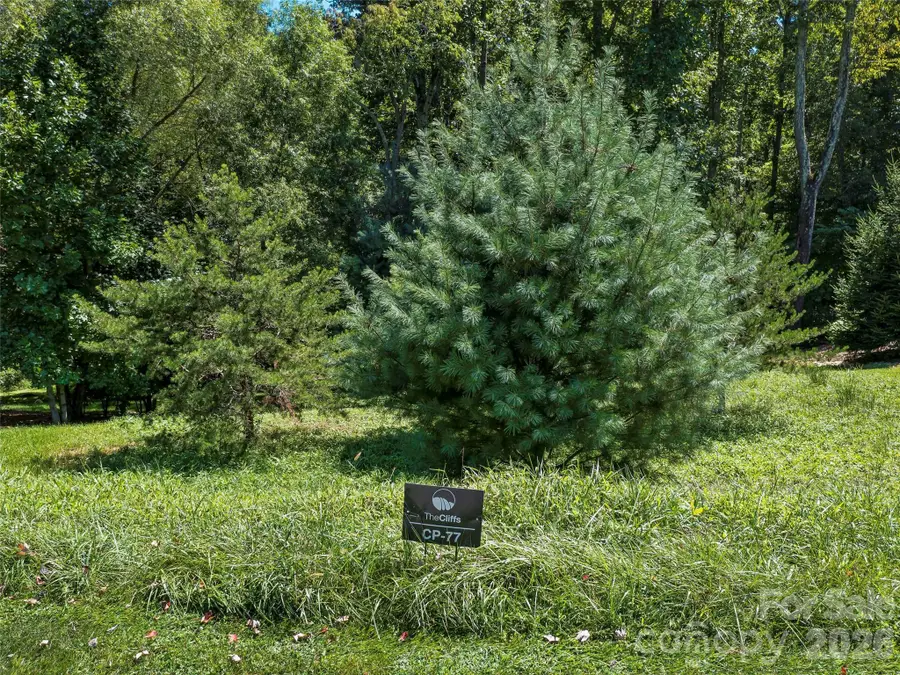 19 Mountain Orchid Way #77, Arden, NC 28704 - #2