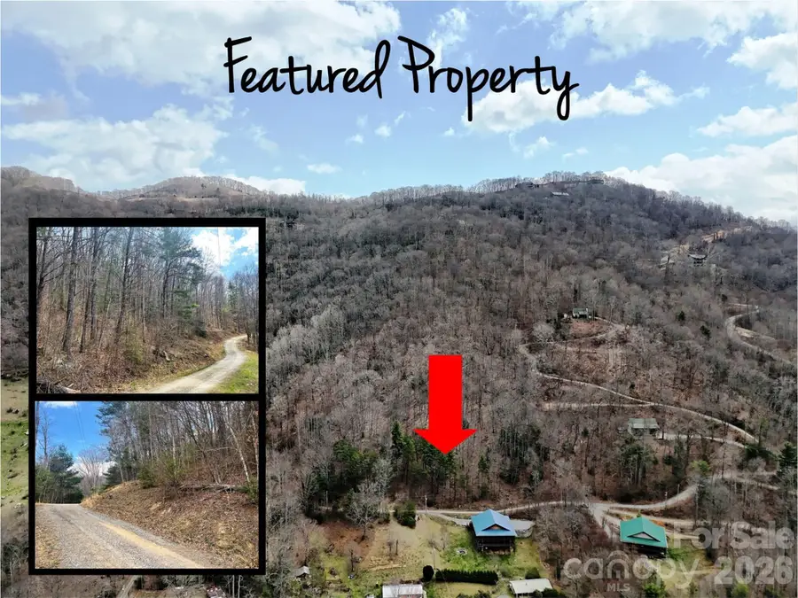 TBD Moonbeam Lane #101,102, Clyde, NC 28721 - #2