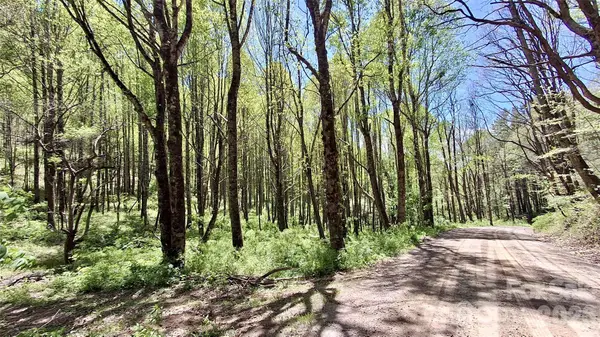 0000 Cold Mountain Road, Highlands, NC 28741
