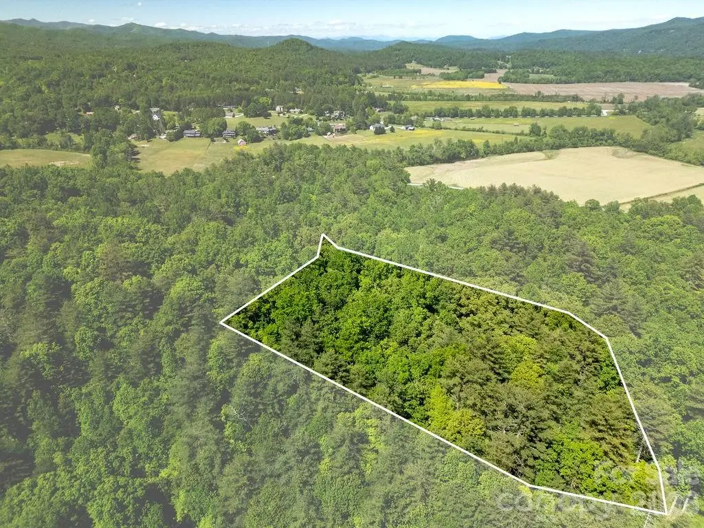 262 Wingfield Way, Brevard, NC 28712 - #1