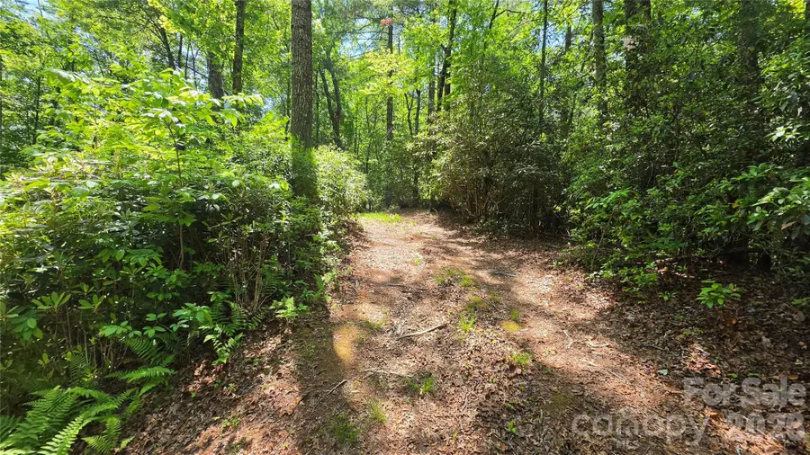 262 Wingfield Way, Brevard, NC 28712 - #3