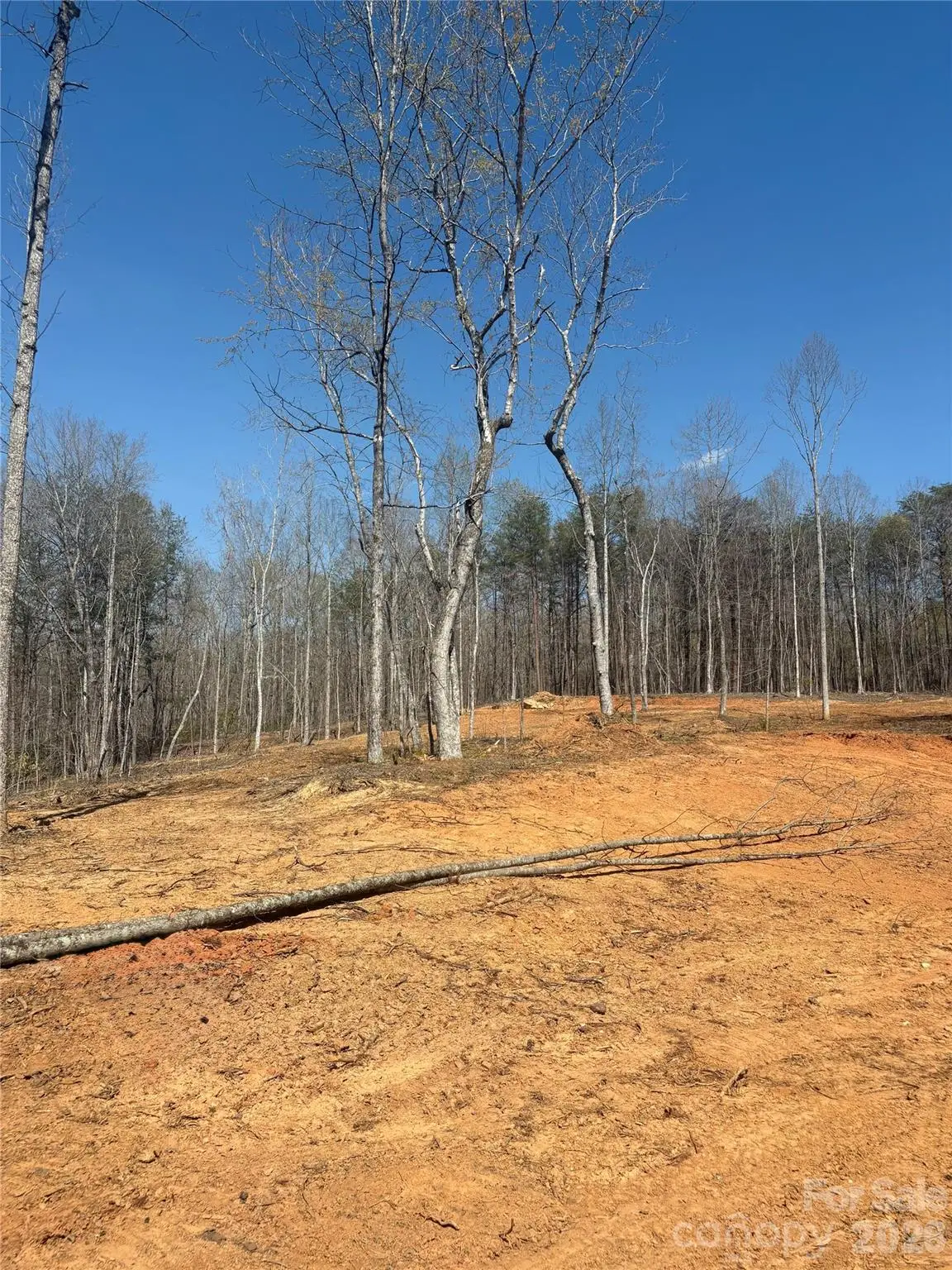 TBD Avenida De Oro Road #3, Morganton, NC 28655 - #1