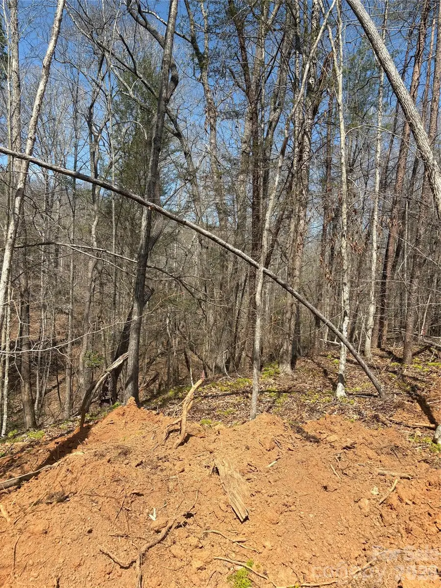 TBD Avenida De Oro Road #3.2, Morganton, NC 28655 - #2