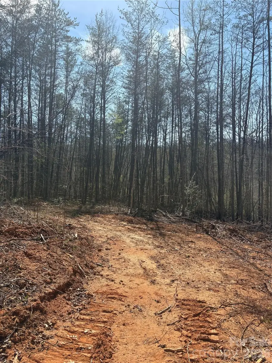 TBD Avenida De Oro Road #2.3, Morganton, NC 28655 - #2