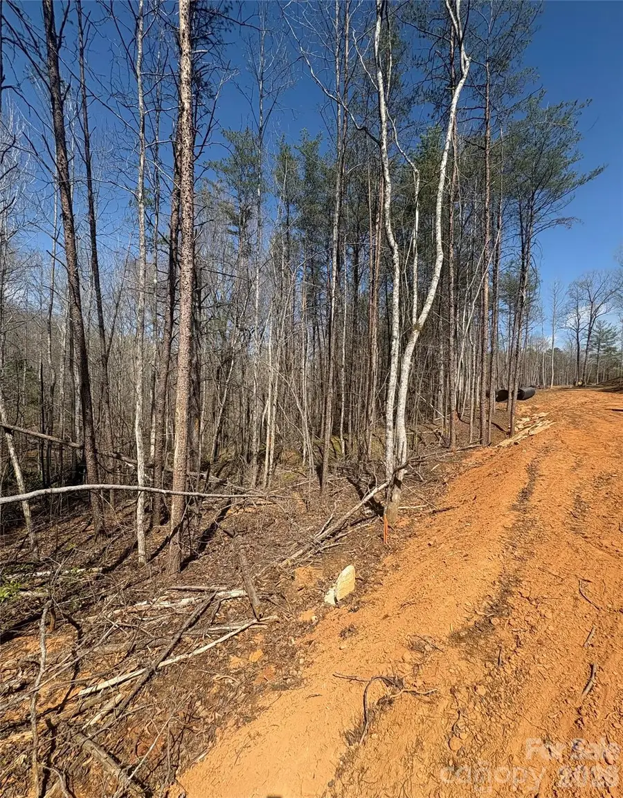 TBD Avenida De Oro Road #3.1, Morganton, NC 28655 - #3