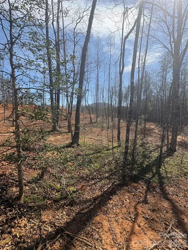 TBD Avenida De Oro Road #2.1, Morganton, NC 28655