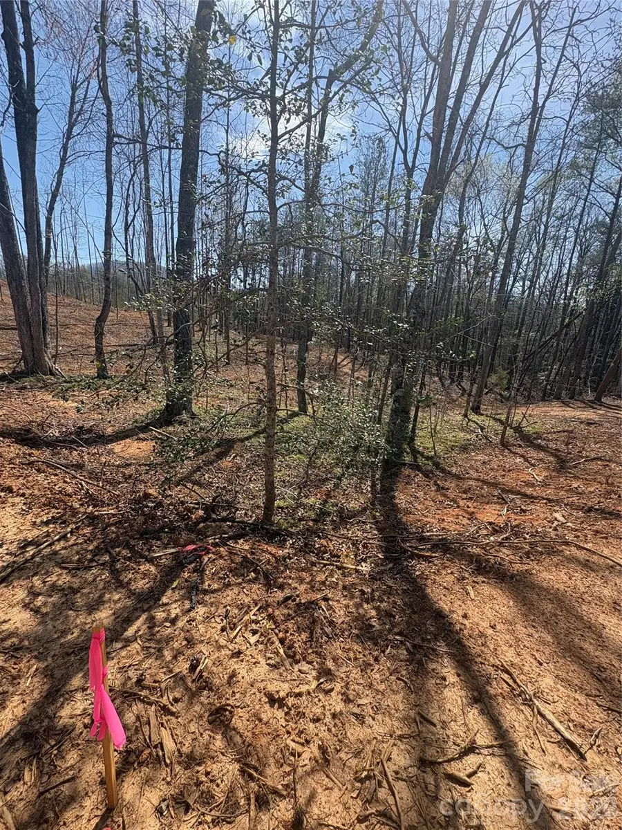 TBD Avenida De Oro Road #2.2, Morganton, NC 28655 - #2