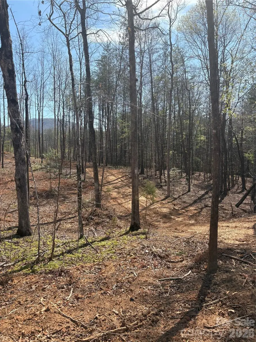5317 Avenida De Oro Road #2.2, Morganton, NC 28655 - #2