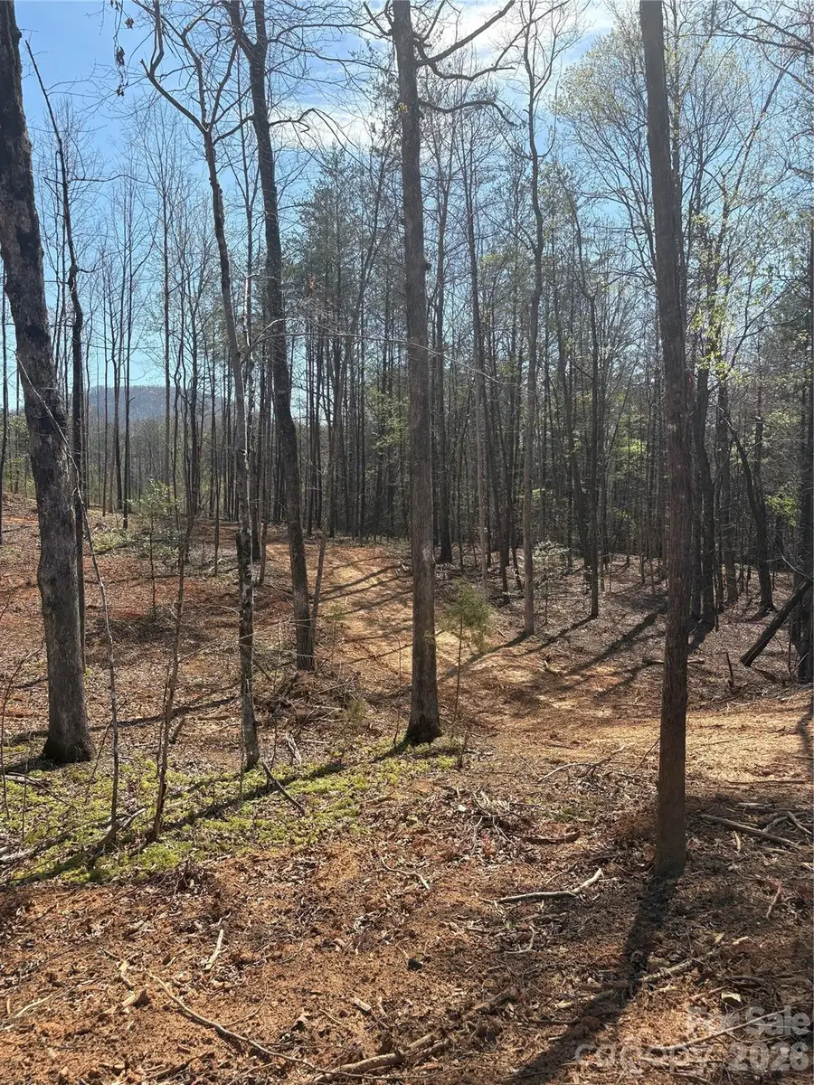 5317 Avenida De Oro Road #2.2, Morganton, NC 28655 - #3