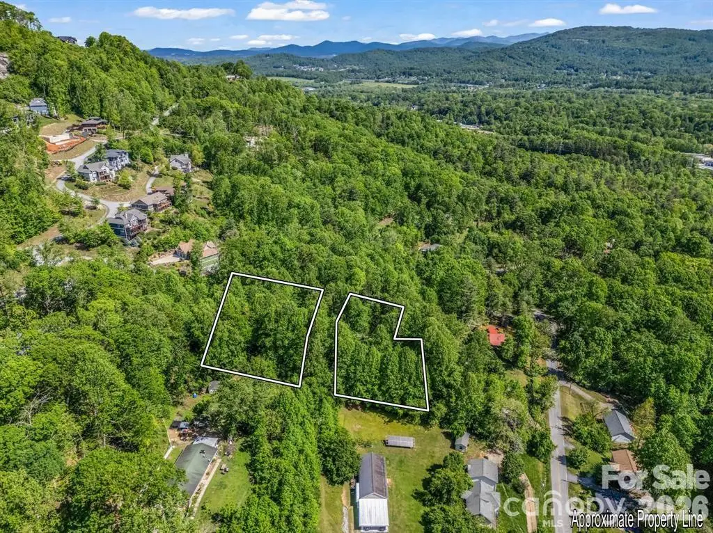 88 Hamilton Acres Drive, Hendersonville, NC 28791 - #1