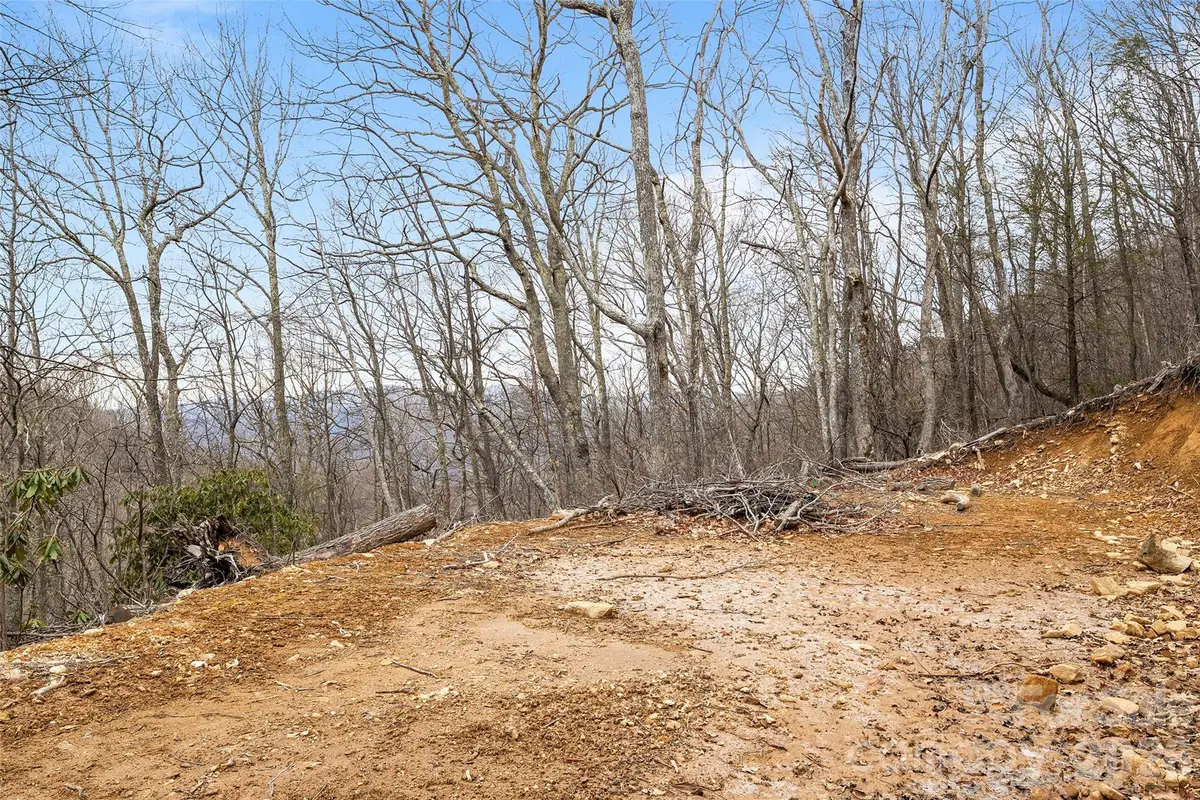 1480 Odalu Trail, Maggie Valley, NC 28751 - #1