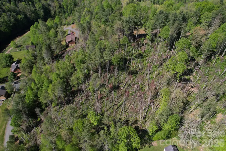 00 River Rock Road, Warrensville, NC 28693 - #3