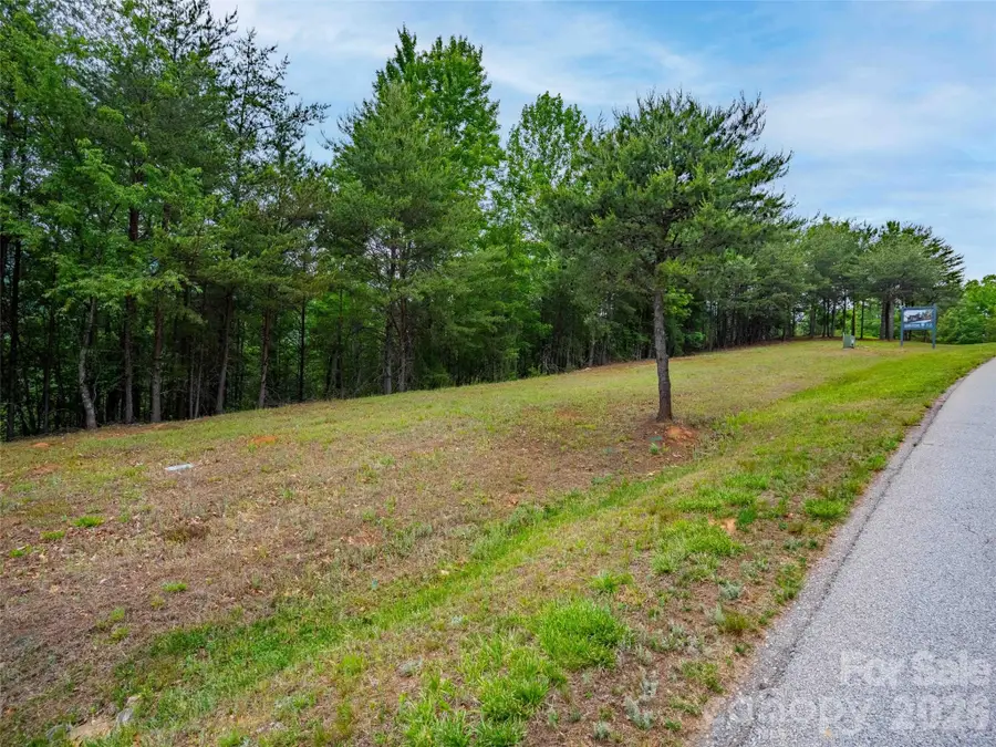 38 Deep Gap Farm Road E #38, Mill Spring, NC 28756 - #2