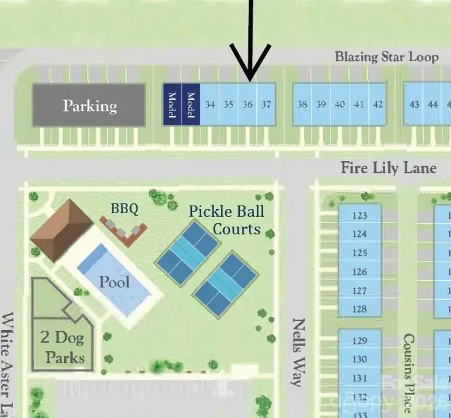 6547 Fire Lily Lane, Charlotte, NC 28216 - #3