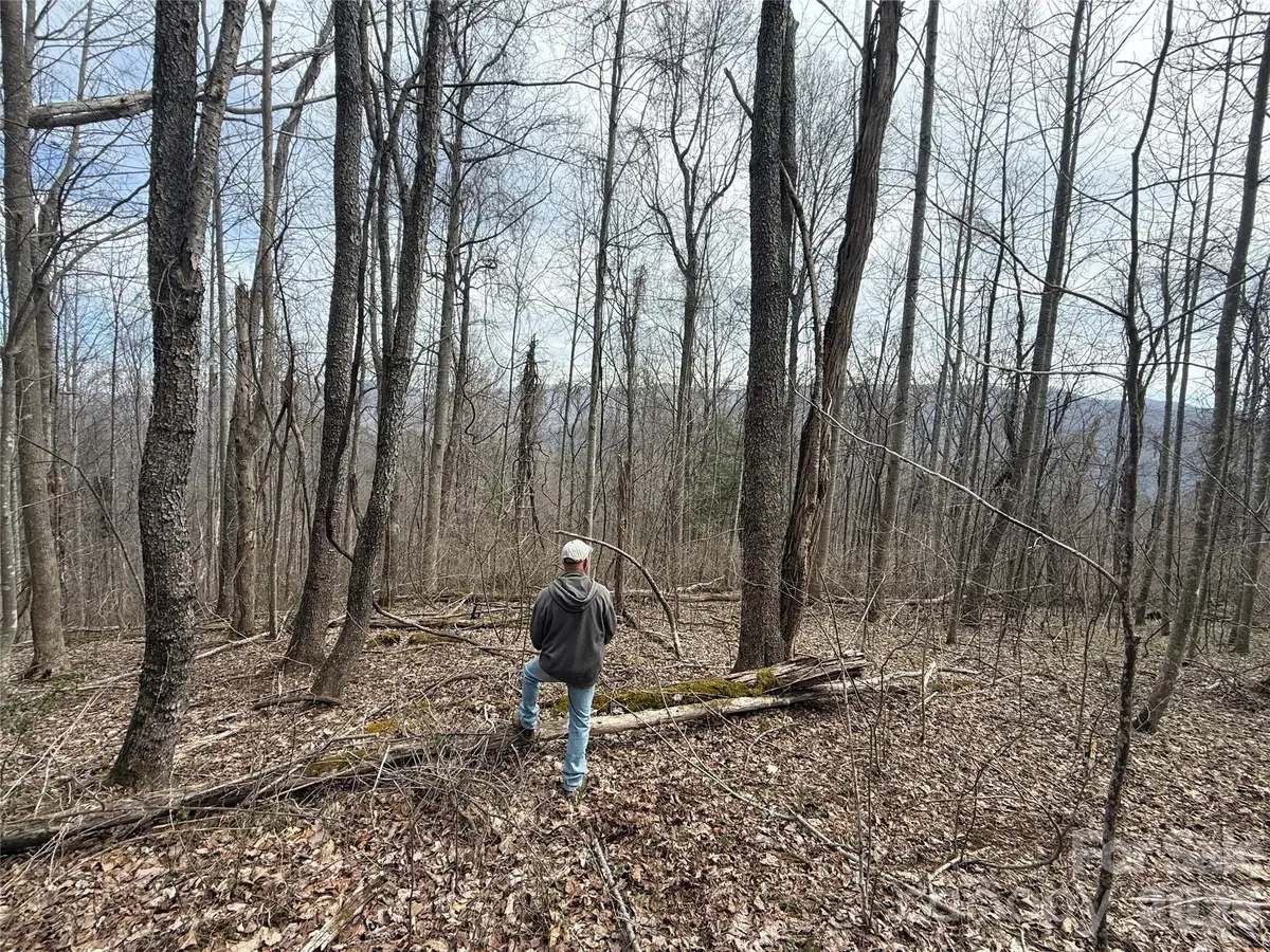000 Caldwell Mountain Road, Hot Springs, NC 28743 - #1