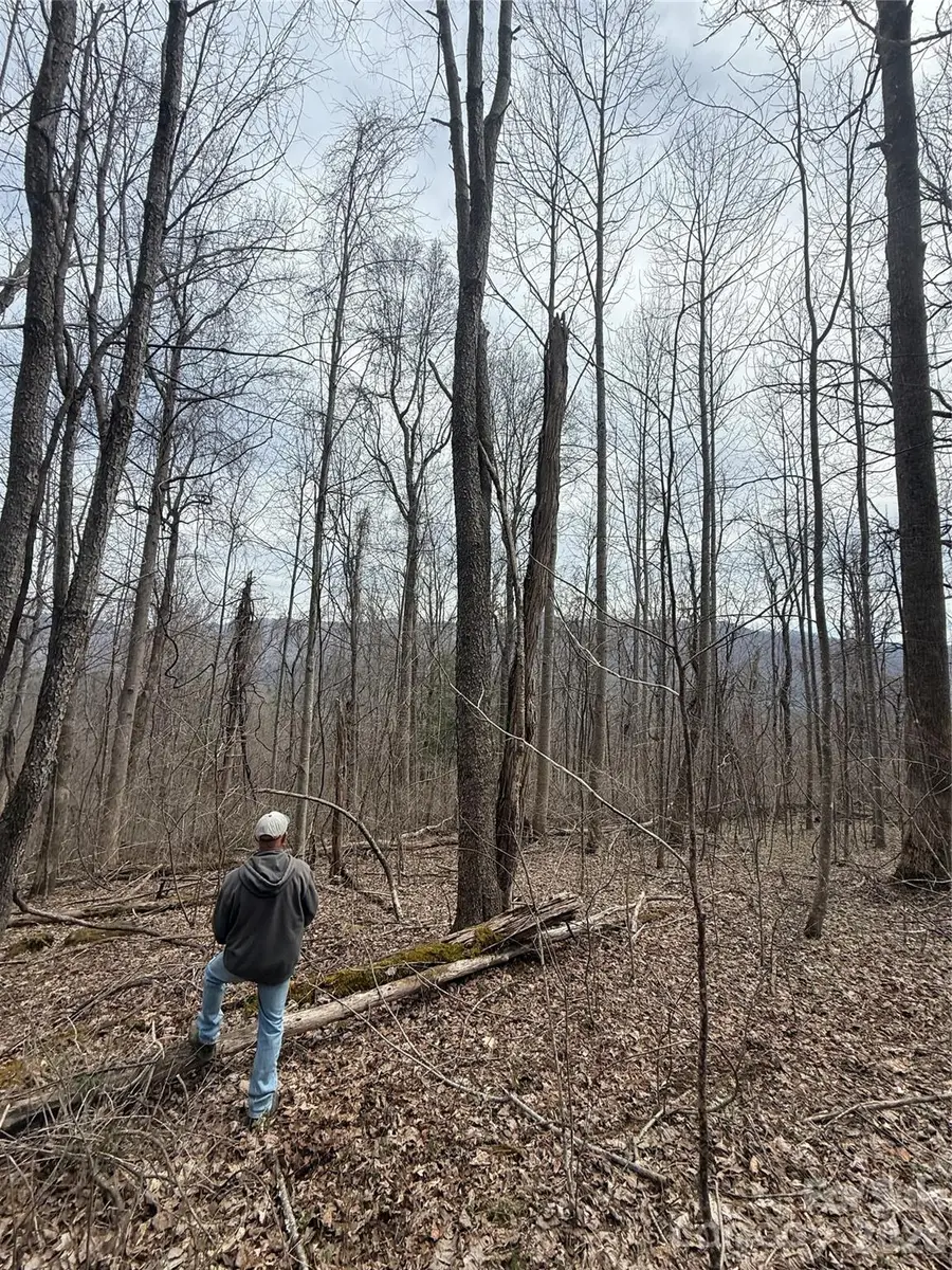 000 Caldwell Mountain Road, Hot Springs, NC 28743 - #2