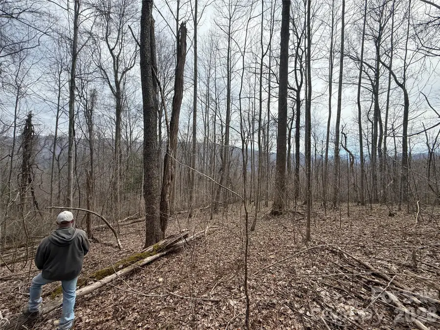 000 Caldwell Mountain Road, Hot Springs, NC 28743 - #3