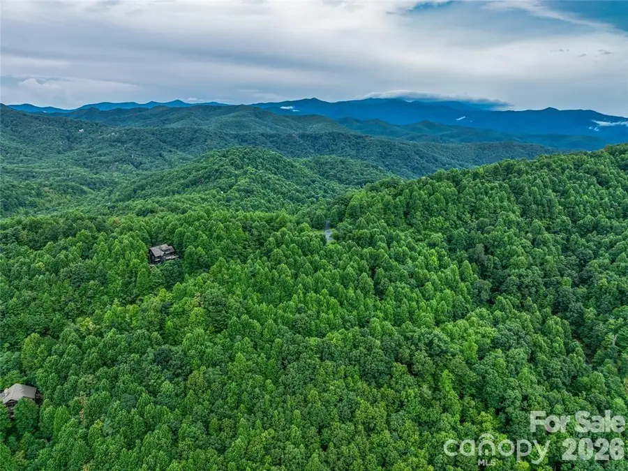 153 Kestrel Lane #T-64, Black Mountain, NC 28711 - #2