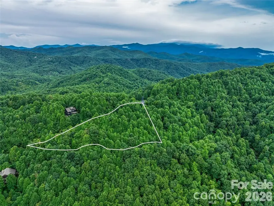 9999 Kestrel Lane, Black Mountain, NC 28711 - #3