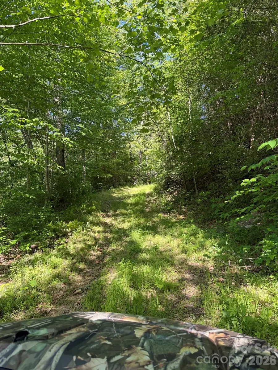 000 Parker Padgett Road, Old Fort, NC 28762 - #3